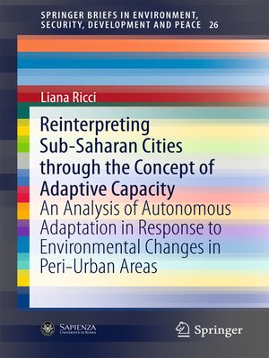 cover image of Reinterpreting Sub-Saharan Cities through the Concept of Adaptive Capacity